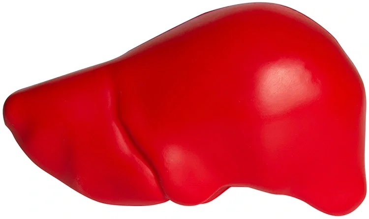 Custom Printed Liver Stress Reliever — view 5