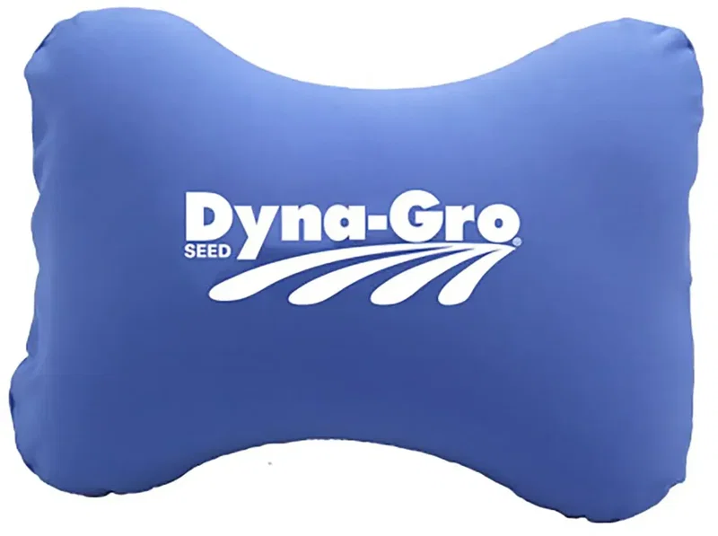Custom Lumbar Support Back Pillow — view 2