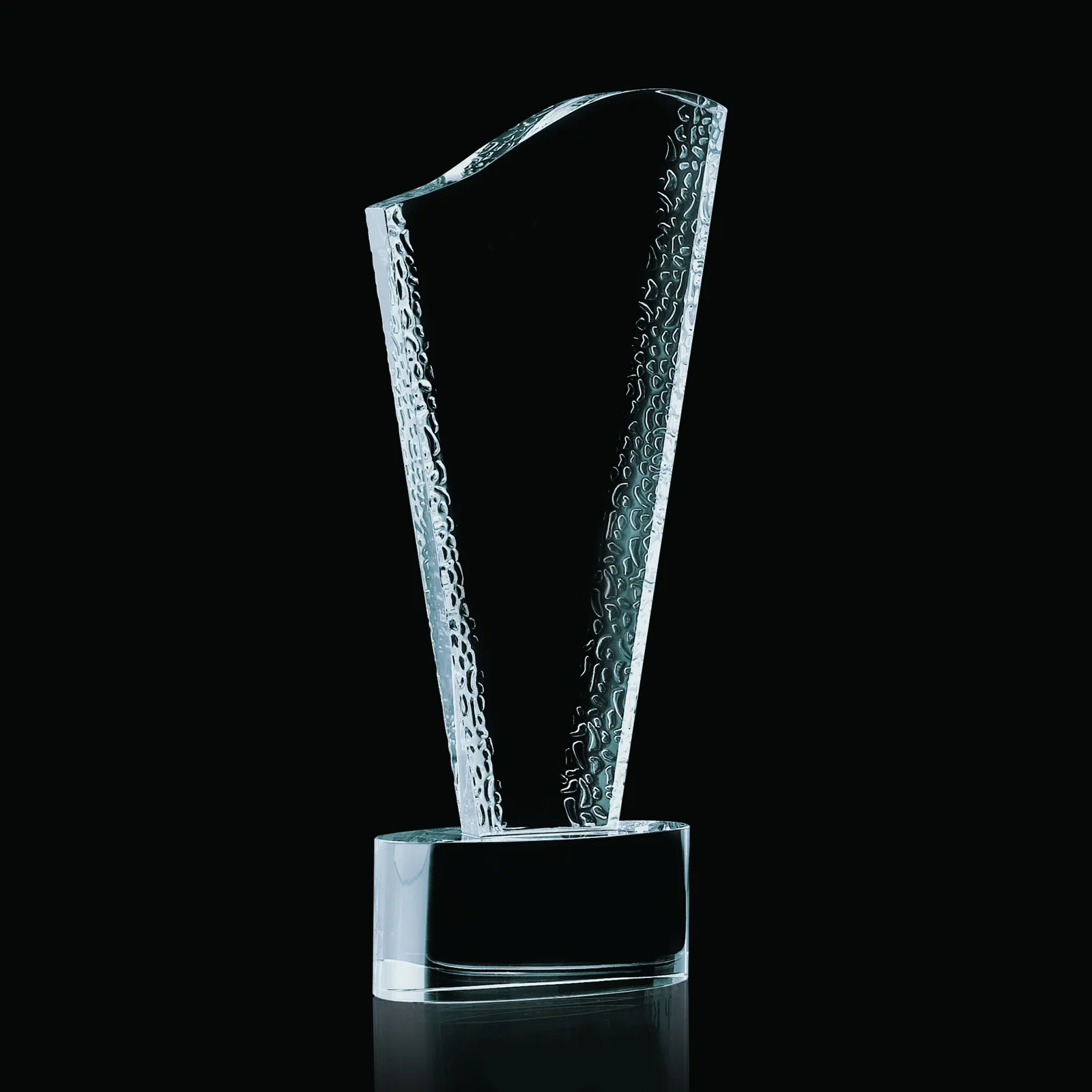 Maddox Award — view 2