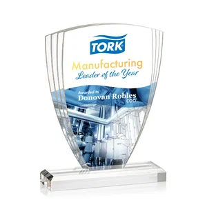 Acrylic Shield Award With Triple-Stepped Wings