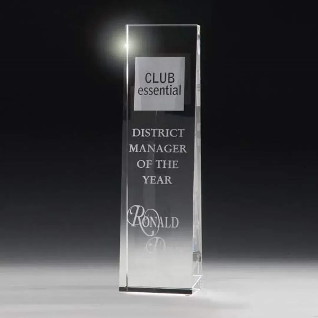 McKinley Tower Award — view 4