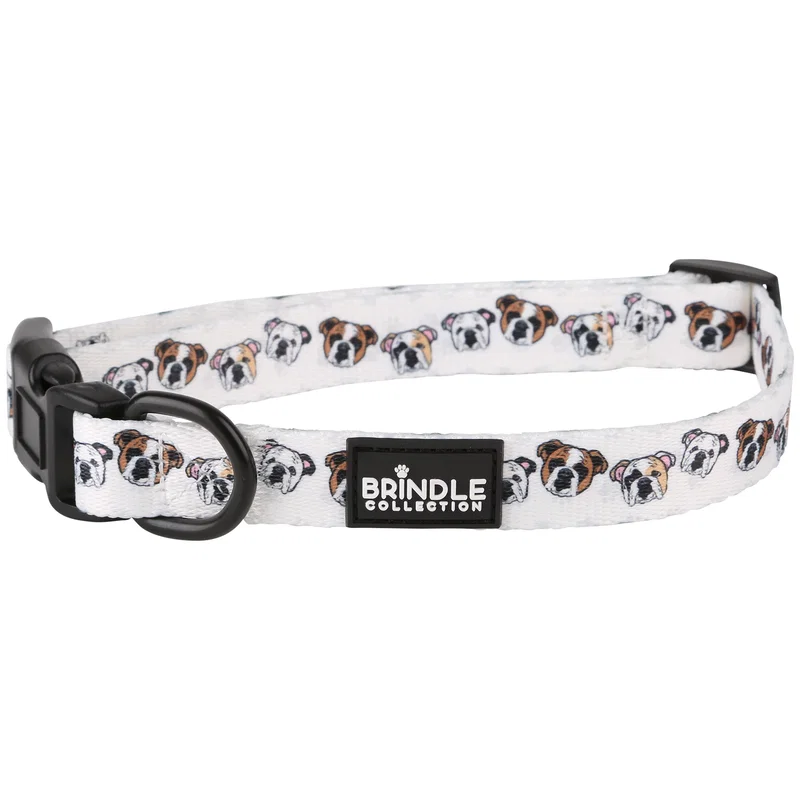 Dog Collar Medium