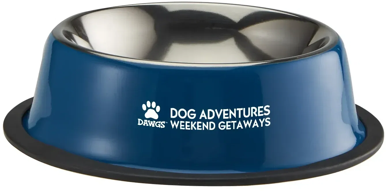 Custom Pet Bowl — view 2