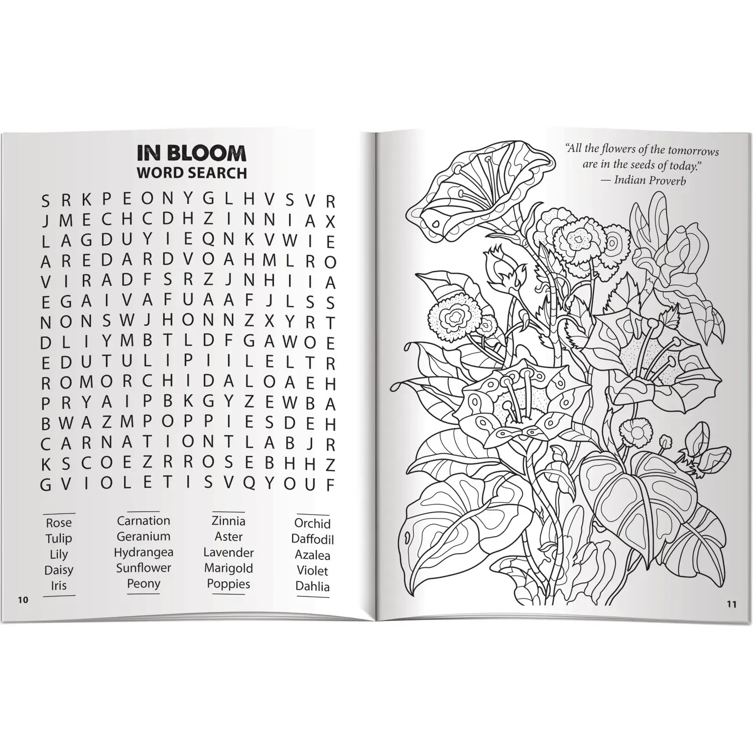 Mindscapes Adventure Awaits activity book open spread mixing coloring pages and brain games