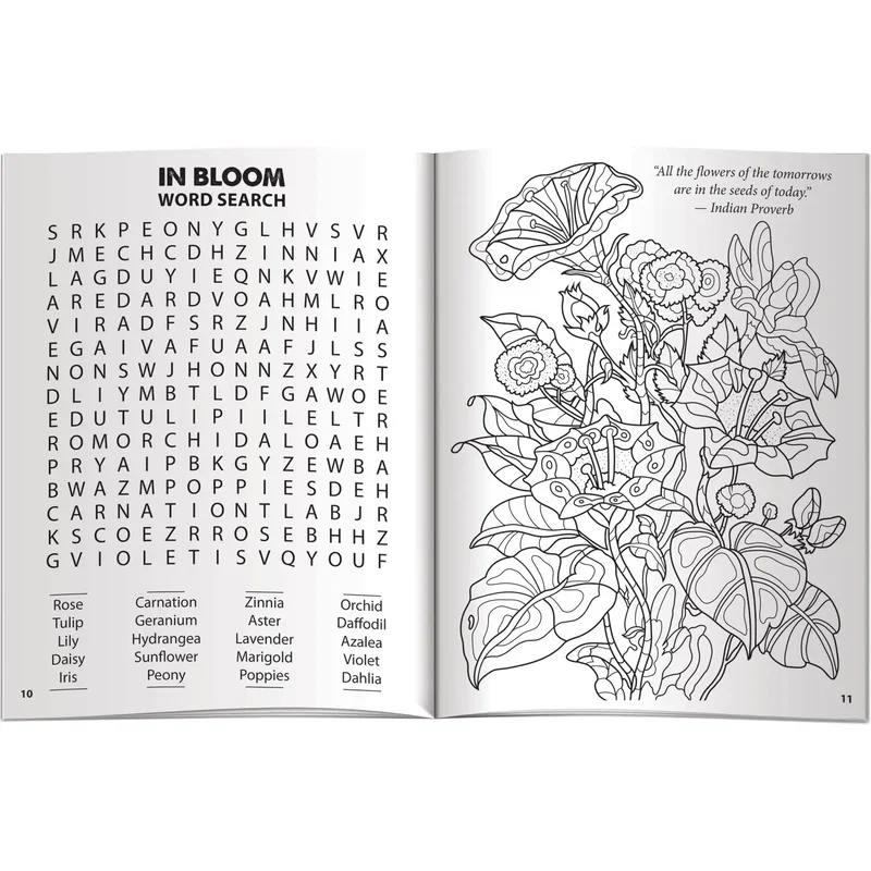 Mindscapes Adventure Awaits activity book open spread mixing coloring pages and brain games