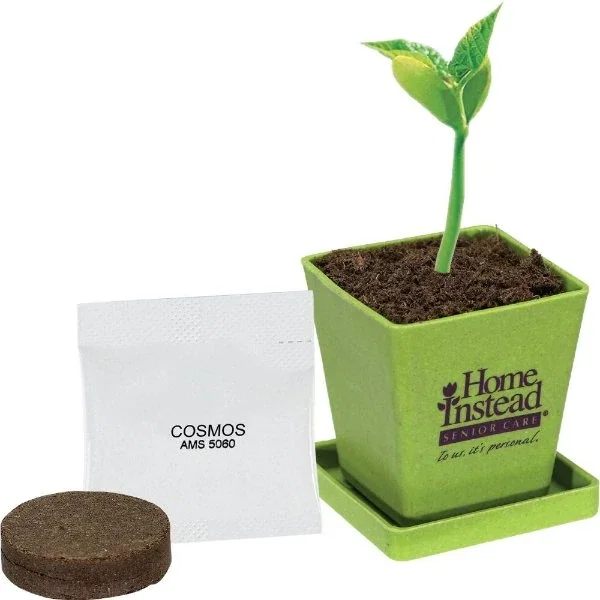 Mini bamboo planter seed kit showing soil disk and seed packet