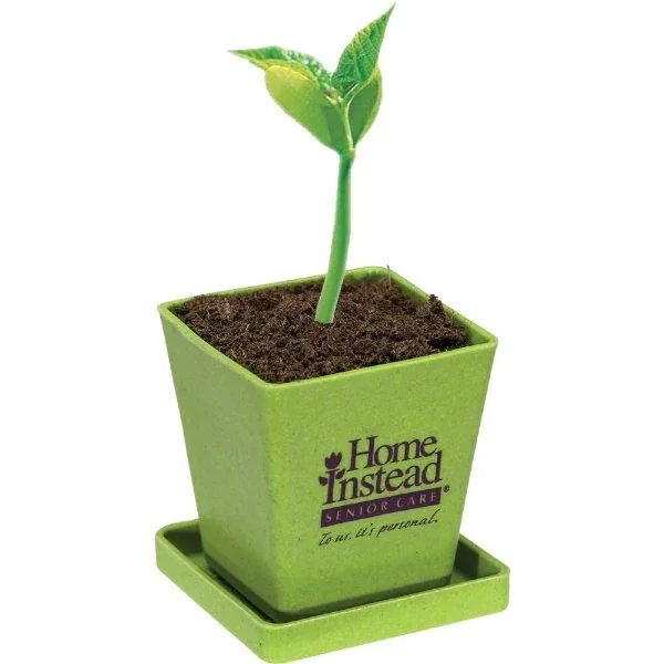 Assembled mini bamboo planter with saucer base, top view