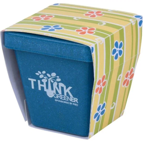 Mini bamboo planter seed kit with growing instructions card