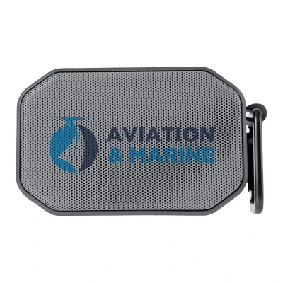 Mini speaker with a magnetic back and carabiner clip