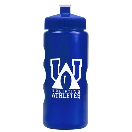 Mini Peak Tritan® Metallike Bottle with Push-Pull Lid (22 oz.)