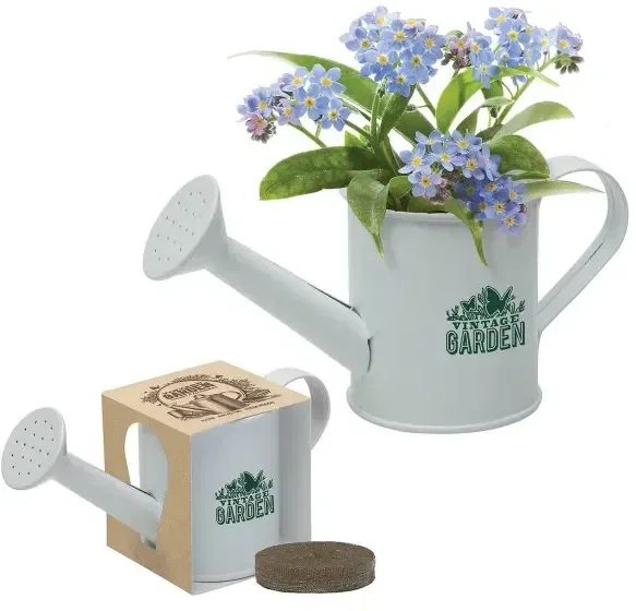 Mini Watering Can Blossom Kit — view 2