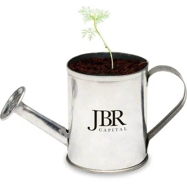 Metal mini watering can planter with growing flowers, promotional seed grow kit