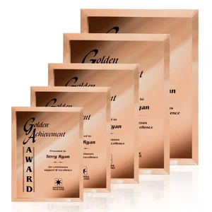 Mirror wall plaque with deep-beveled edge, etched colorfill