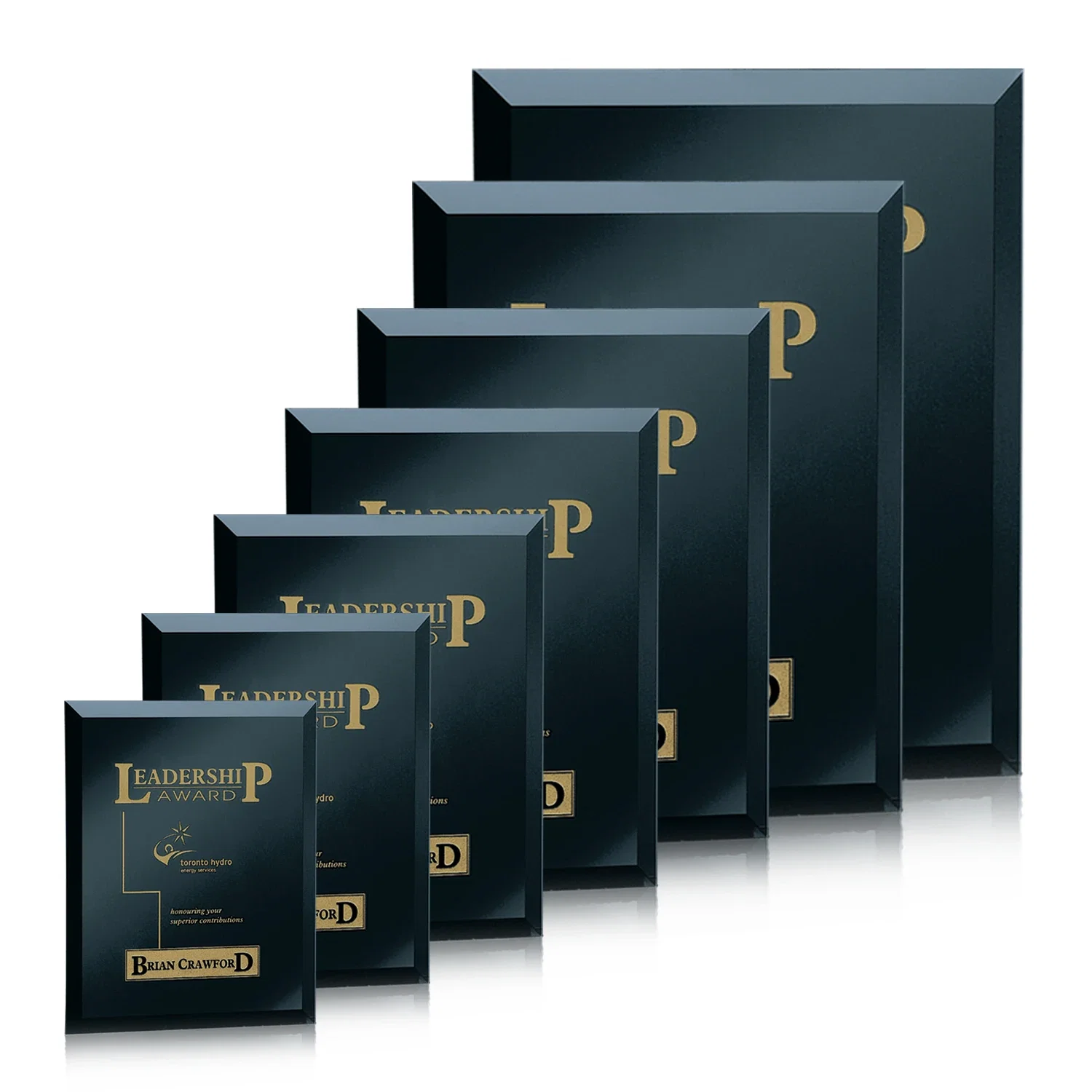 Personalized Mirror wall plaque with deep-beveled edge, etched colorfill for corporate award ceremonies
