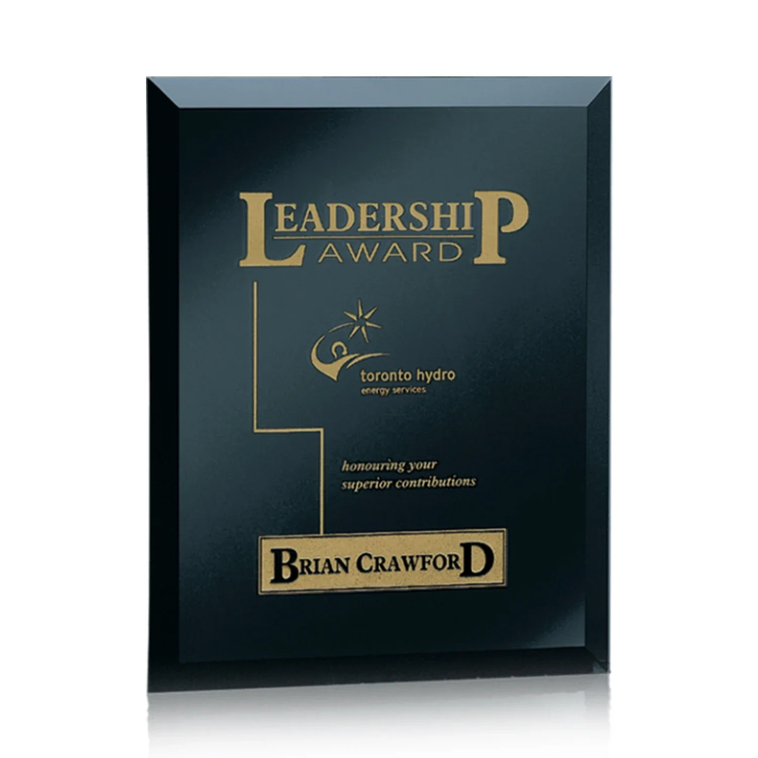 Personalized Mirror wall plaque with deep-beveled edge, etched colorfill for sales achievement awards