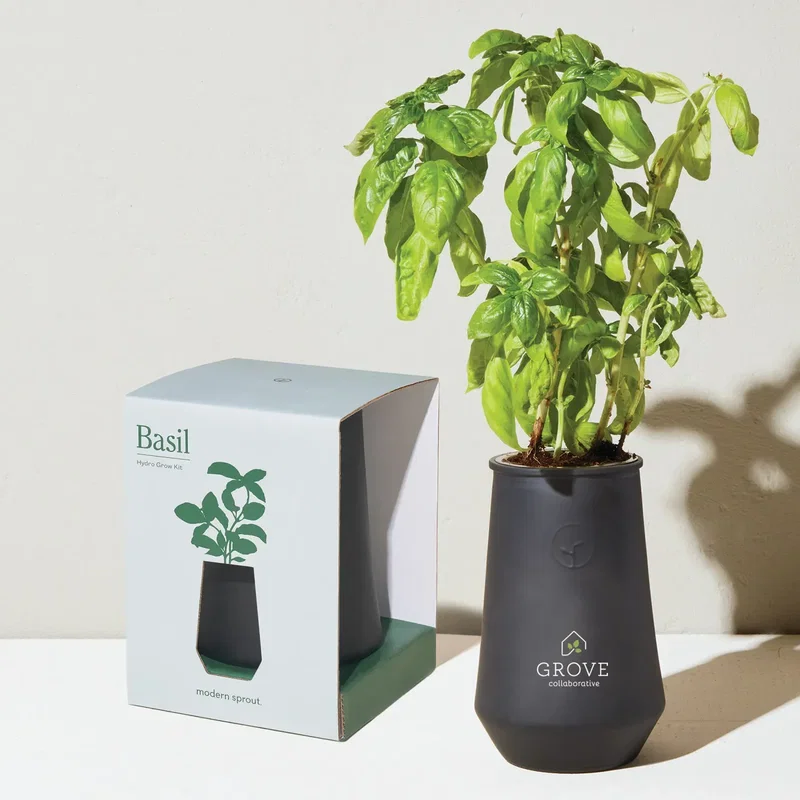 Modern Sprout Tapered Tumbler Grow Kit — view 10
