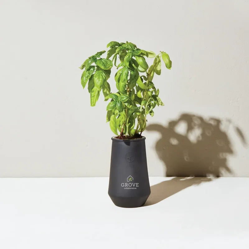 Modern Sprout Tapered Tumbler Grow Kit — view 11