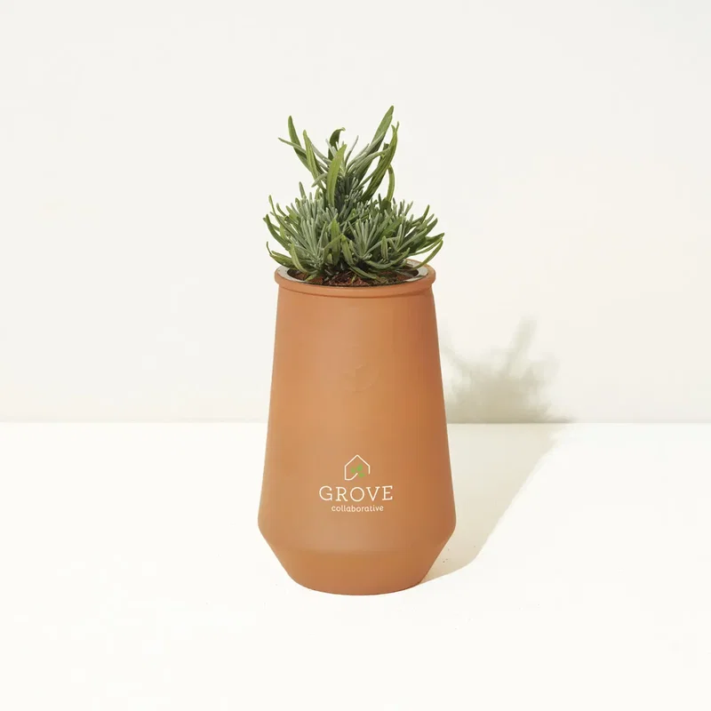 Modern Sprout Tapered Tumbler Grow Kit — view 13