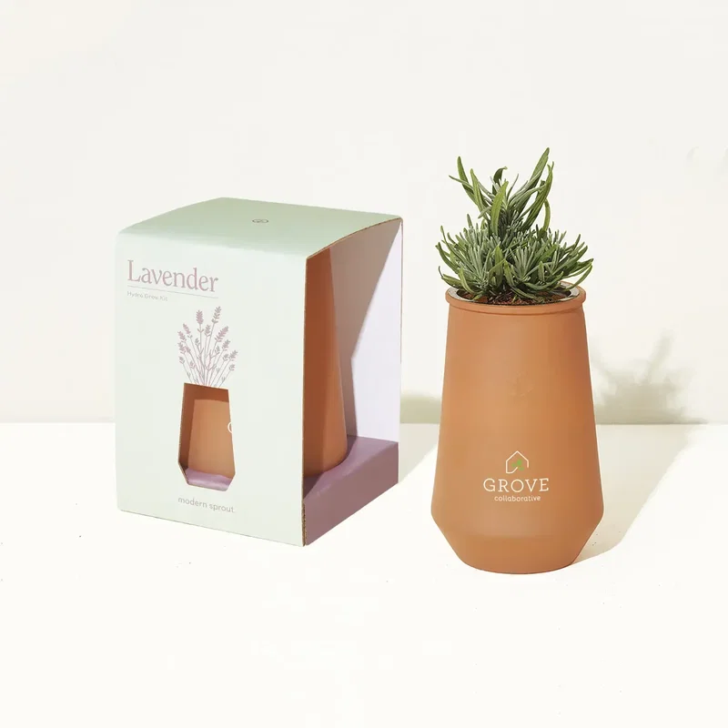 Modern Sprout Tapered Tumbler Grow Kit — view 14
