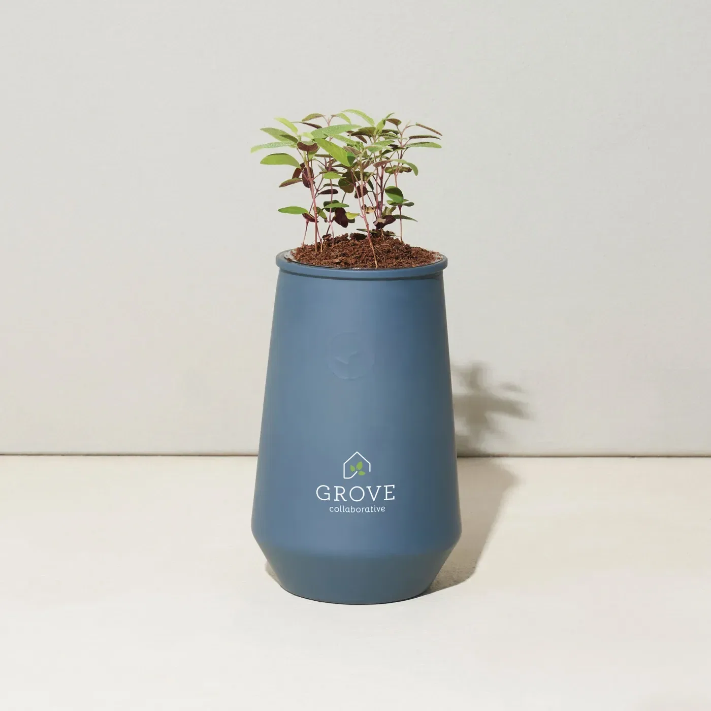 Modern Sprout Tapered Tumbler Grow Kit — view 2