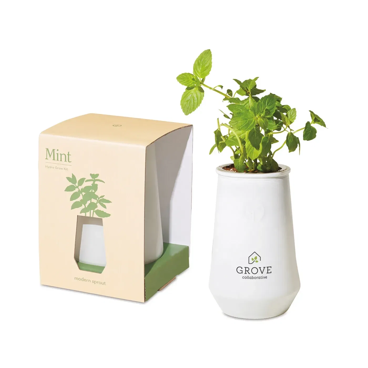 Modern Sprout Tapered Tumbler Grow Kit — view 4