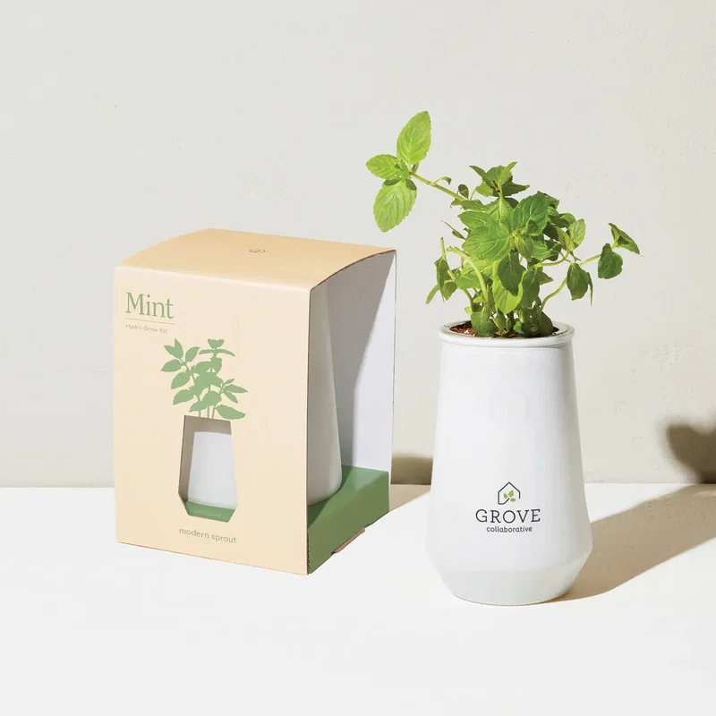 Modern Sprout Tapered Tumbler Grow Kit — view 6
