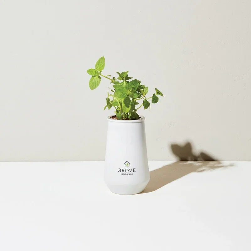 Modern Sprout Tapered Tumbler Grow Kit — view 7