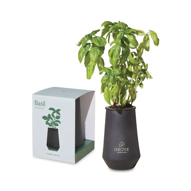 Modern Sprout Tapered Tumbler Grow Kit — view 8