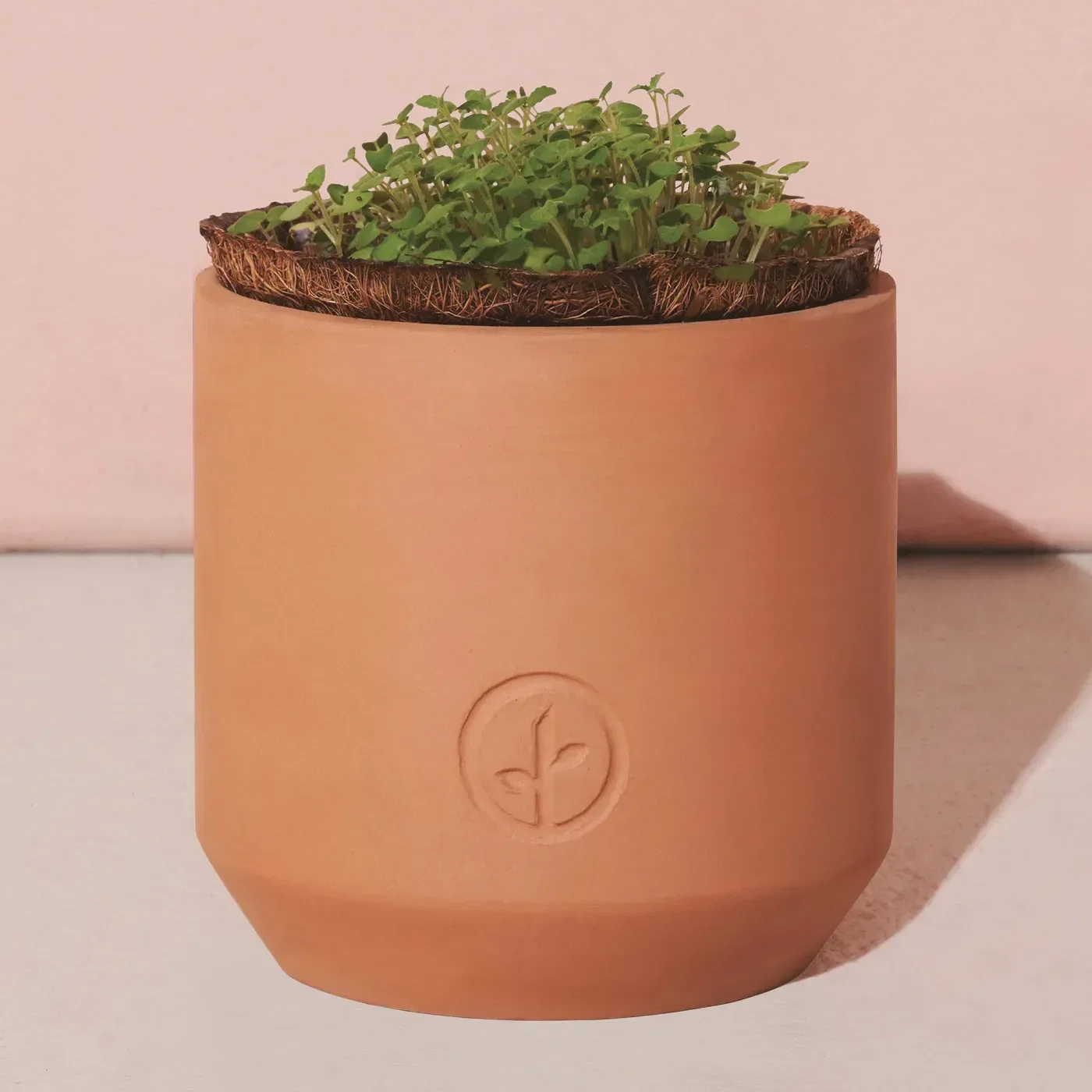 Modern Sprout® Tiny Terracotta Grow Kit Champagne Poppies — view 2