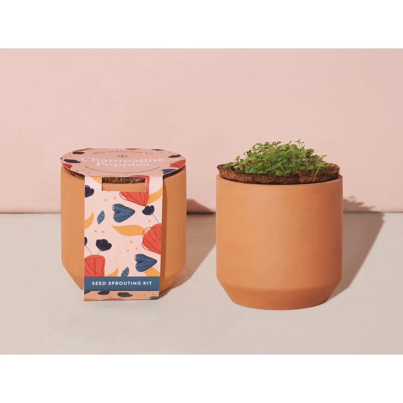 Modern Sprout® Tiny Terracotta Grow Kit Champagne Poppies — view 4