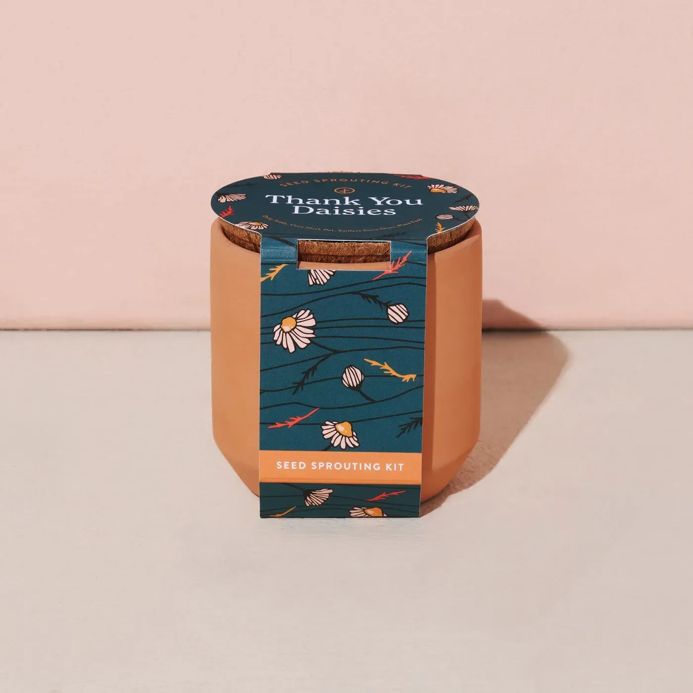 Modern Sprout® Tiny Terracotta Grow Kit Thank You Daisies — view 3