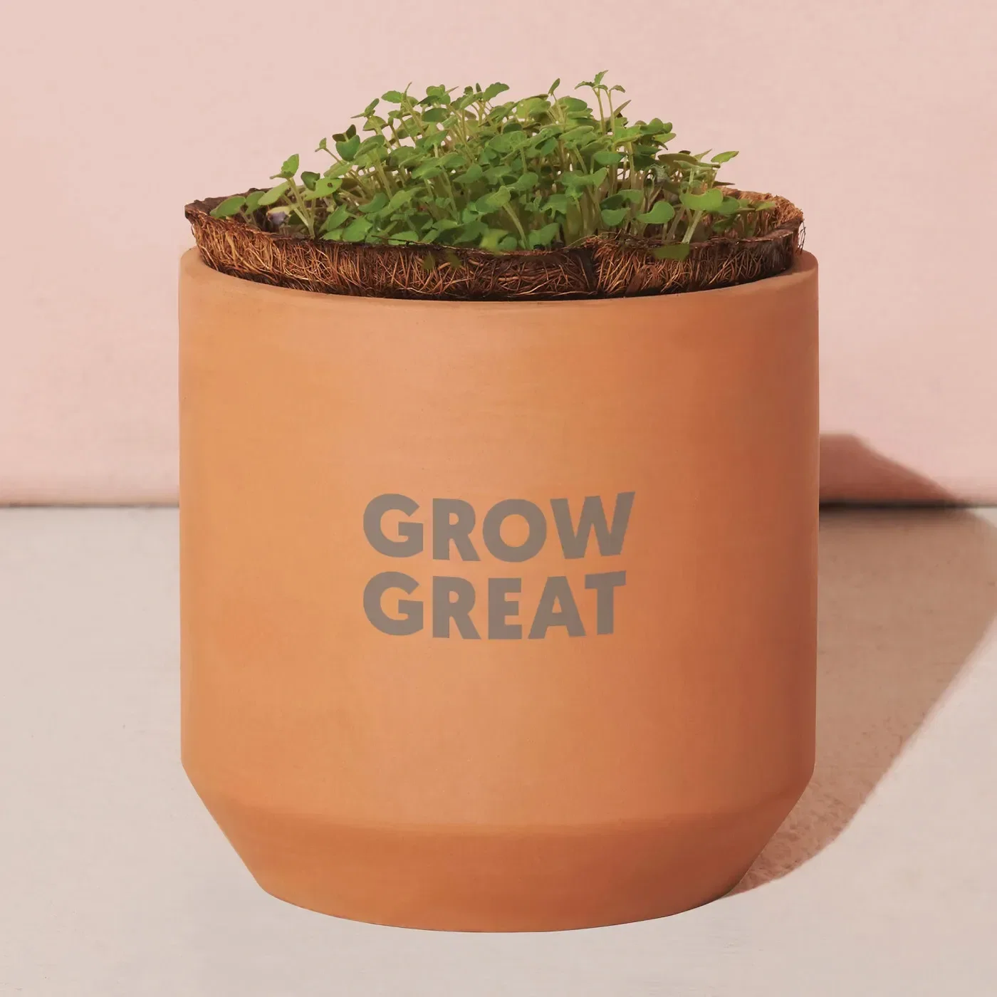 Modern Sprout® Tiny Terracotta Grow Kit Thank You Daisies — view 4