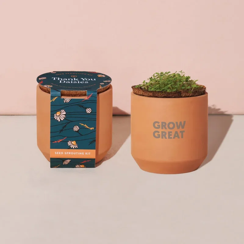 Modern Sprout® Tiny Terracotta Grow Kit Thank You Daisies — view 5