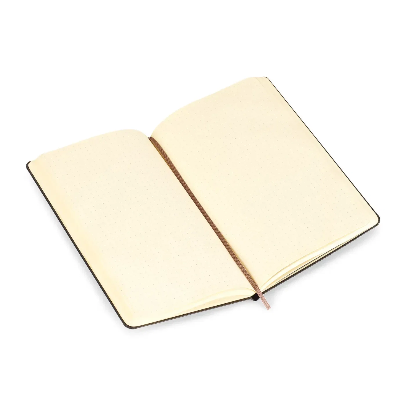 Moleskine® Hard Cover Dotted Large Notebook — view 3