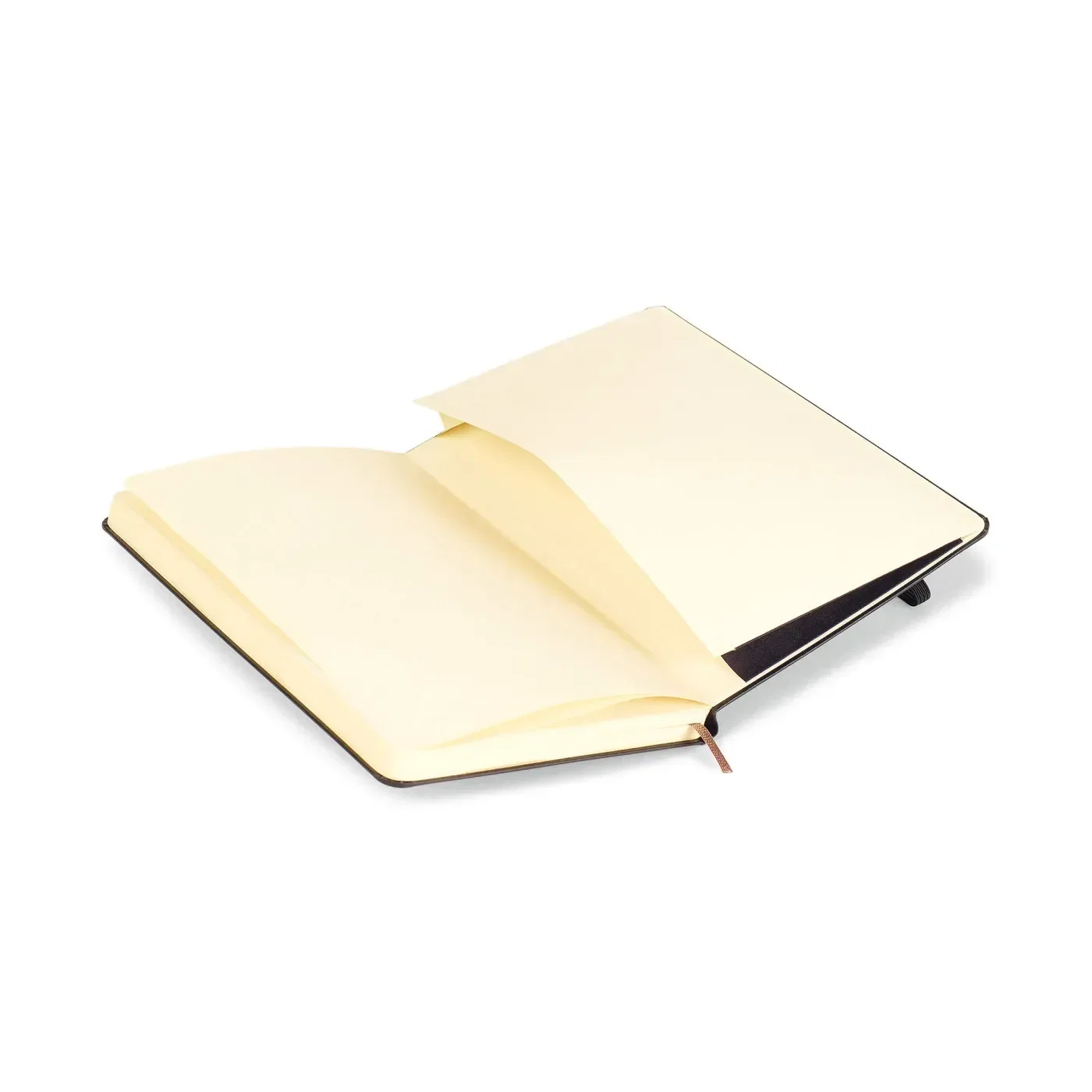 Moleskine® Hard Cover Dotted Large Notebook — view 4