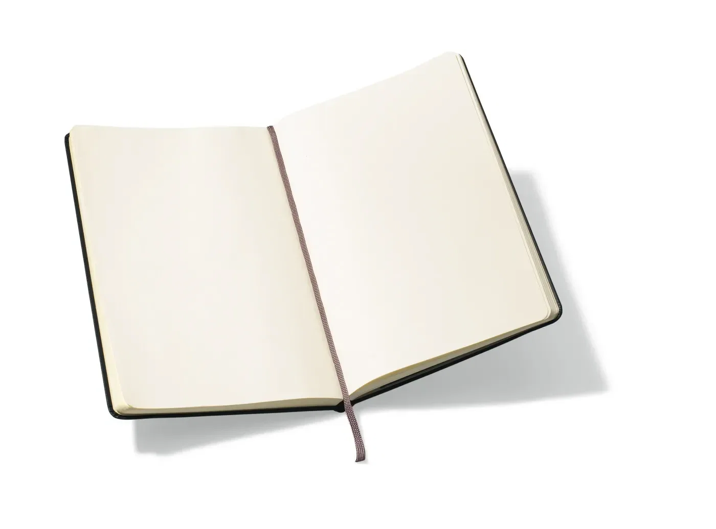 Moleskine® Hard Cover Plain Large Notebook — view 2