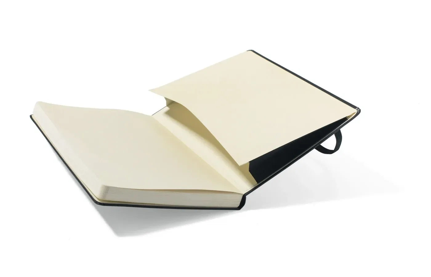 Moleskine® Hard Cover Plain Large Notebook — view 3