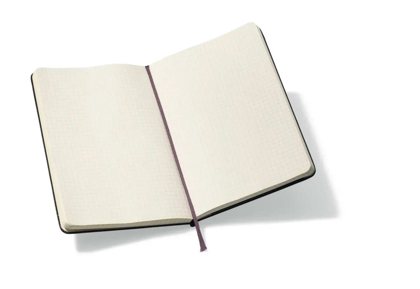 Moleskine® Hard Cover Squared Large Notebook — view 2