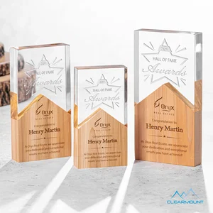 Lucite and Wood Peak Award with Dual Decoration