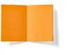 Imprinted Neon Hex Journal in Orange