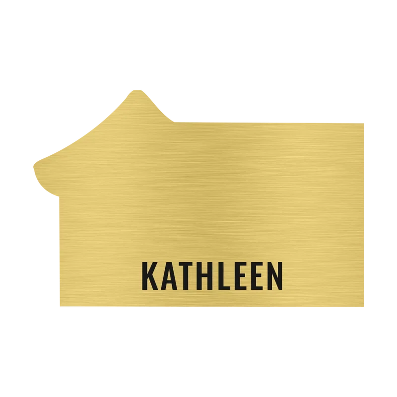 New Orleans Plastic Name Badge (Custom sized between 3 and 6 sq. in.) — view 3