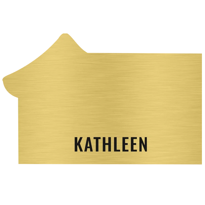 New Orleans Plastic Name Badge (Custom sized between 6 and 9 sq. in.) — view 5