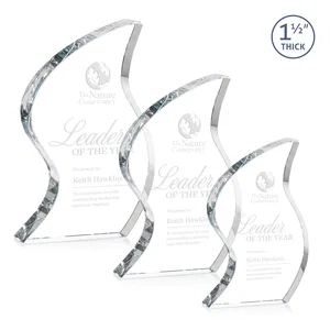 Optical Crystal Award With Twisted Contoured Silhouette