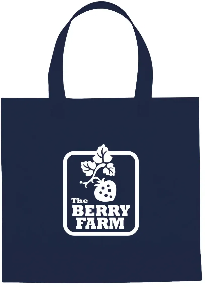 Reusable non-woven brochure tote measuring roughly eleven inches square