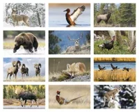Triumph® Calendars North American Wildlife Calendar — view 2