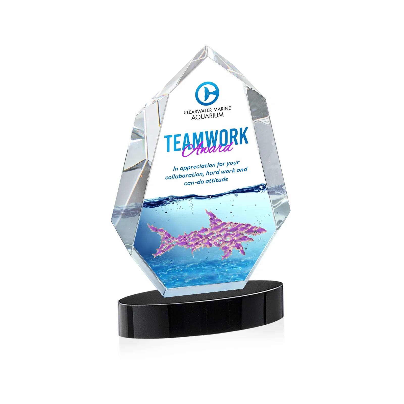 Custom printed Extra-Thick Optical Crystal Award on an Oval Base, awards for donor appreciation