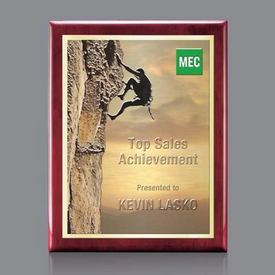 Personalized Metal Plate Wall Plaque With 3D Raised Texture, Black Piano Finish for sales achievement awards