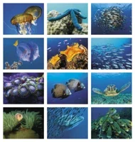 Good Value™ Ocean Glory - Stapled Calendar — view 4