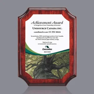 Piano Finish Rosewood Plaque With Notched Border Edge