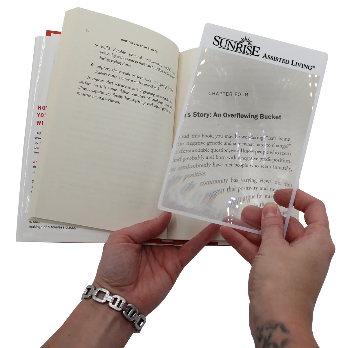 Page Reader Magnifier — view 4